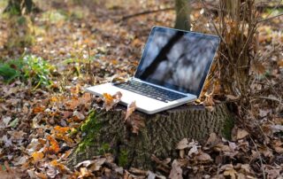 Comment optimiser vos publications d'automne sur les réseaux sociaux