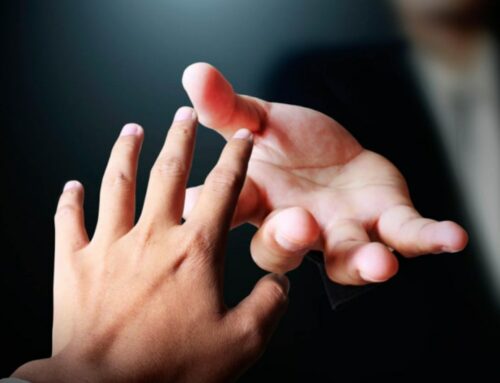 Sauvetage Web : Que faire quand votre webmaster disparaît ?
