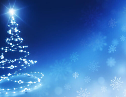 Bonne année 2026 ✨